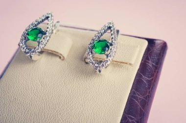 Taşlar Gümüş Küpe