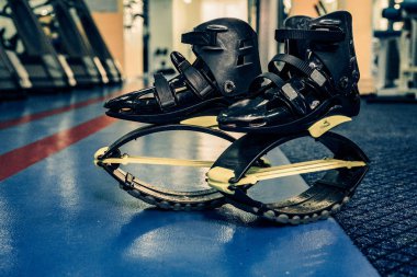 kangoo botları yakından atlar