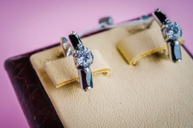 Taşlar Gümüş Küpe