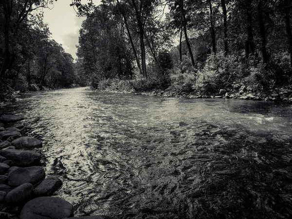 Nádherná Rychlořeka Lese — Stock fotografie