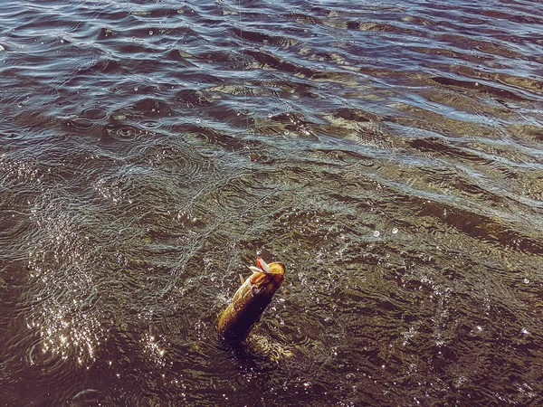 호수에서 고기잡는 일 — 스톡 사진