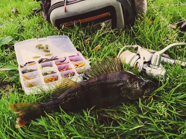 Concepto de pesca: pescado, caña de pescar, cebo —  Fotos de Stock