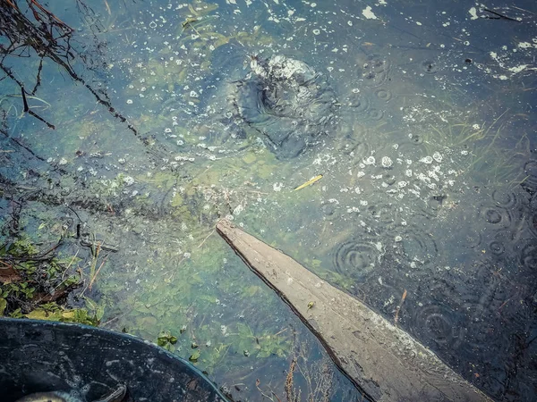 Antecedentes sobre um tema de pesca — Fotografia de Stock