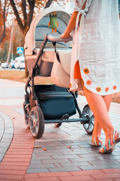 Bir Yürüyüşte Bir Bebek Arabası Ile Anne — Stok fotoğraf