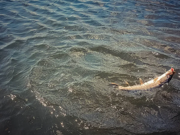 Pesca no lago — Fotografia de Stock