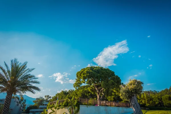 Paisajismo hermoso balneario —  Fotos de Stock