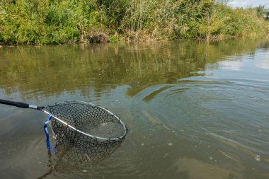 Alabalık balıkçılık Nehri üzerinde