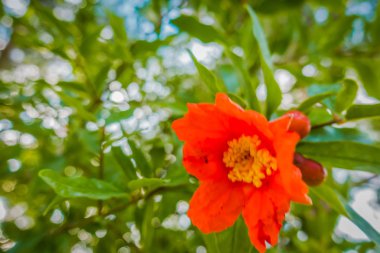 Muhteşem sahil resort manzaralar