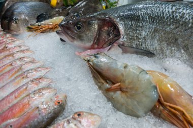 Deniz restoranda taze balık