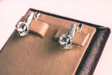 Taşlar Gümüş Küpe