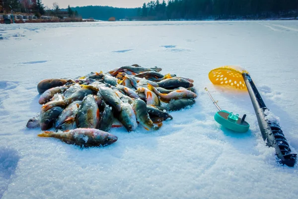 Pesca Invierno Desde Hielo — Foto de Stock