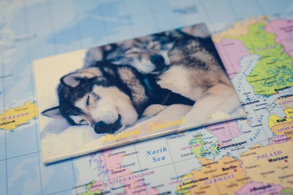 Finland map background with dog on photo