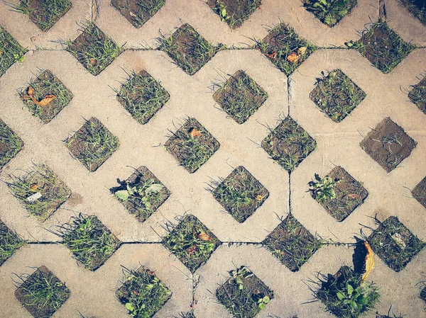 Fundo concreto com grama — Fotografia de Stock