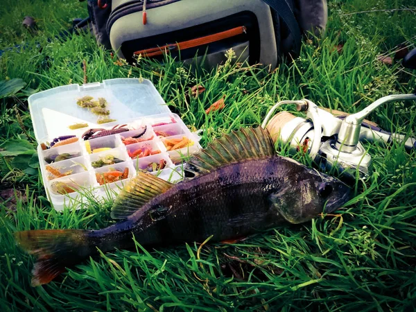 Concepto de pesca: pescado, caña de pescar, cebo — Foto de Stock