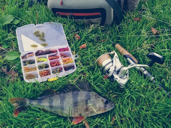 Concepto de pesca: pescado, caña de pescar, cebo — Foto de Stock