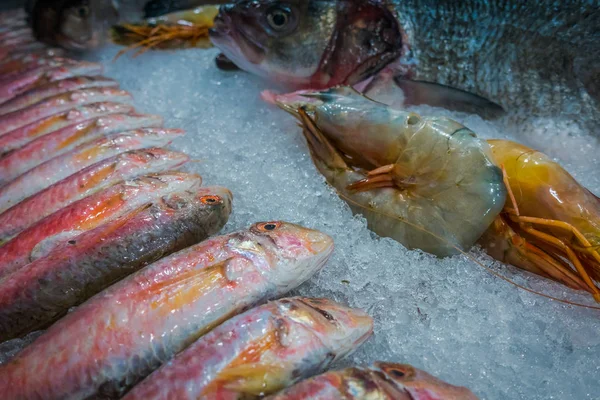 Fisch Und Meeresfrüchte Auf Eis — Stockfoto