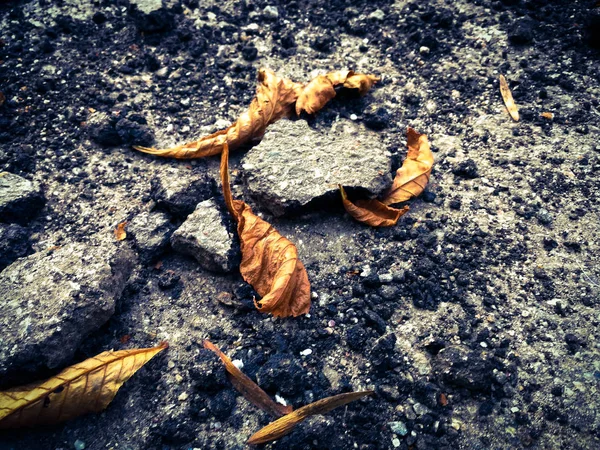 Σπασμένη άσφαλτο με ξηρά φύλλα — Φωτογραφία Αρχείου
