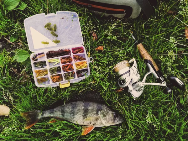 Concepto de pesca: pescado, caña de pescar, cebo —  Fotos de Stock