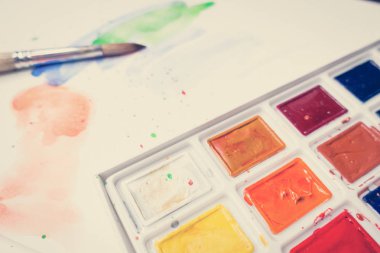 Araçlar Illustrator. Boyalar ve albüm