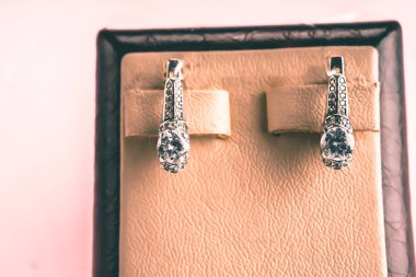 Taşlar Gümüş Küpe