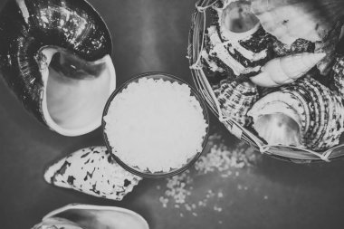 Kabukları ve deniz tuzu arka plan