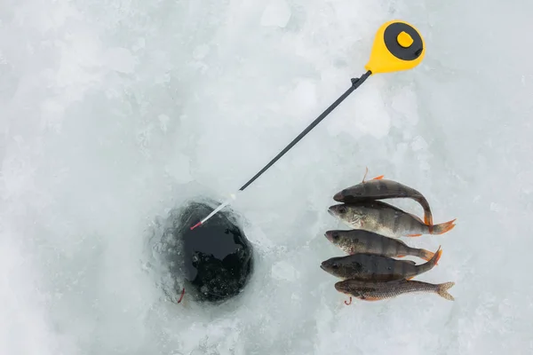 Hobby Pesca Gelo Inverno — Fotografia de Stock