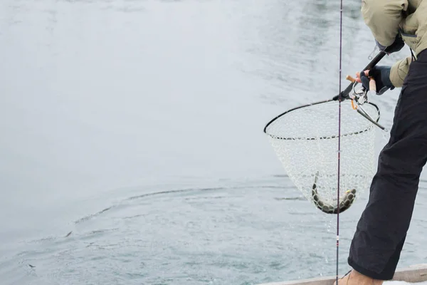 Pesca de truchas en el lago — Foto de Stock