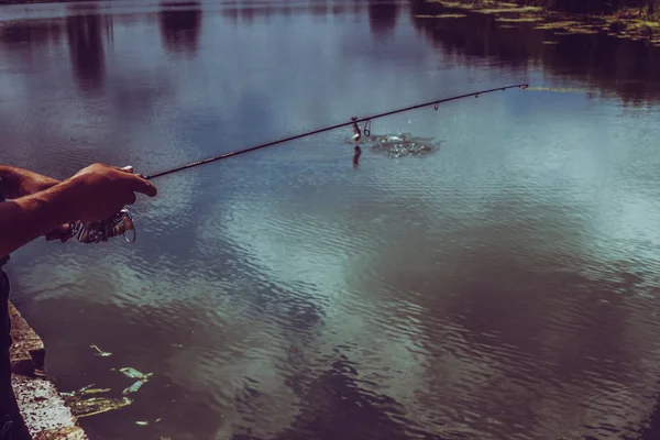 Pesca de truchas en el lago —  Fotos de Stock