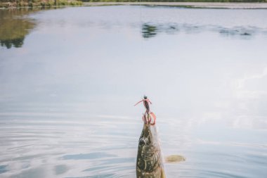 Gölde balık tutmak.