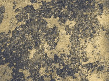 yosun ile eski kırık çimento