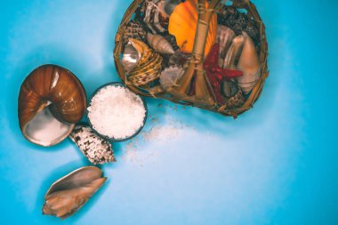 Kabukları ve deniz tuzu arka plan