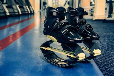 kangoo botları yakından atlar