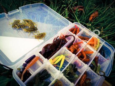 Balık tutma kavramı: Yemler ve iplik