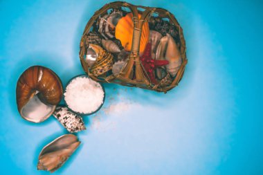 Kabukları ve deniz tuzu arka plan