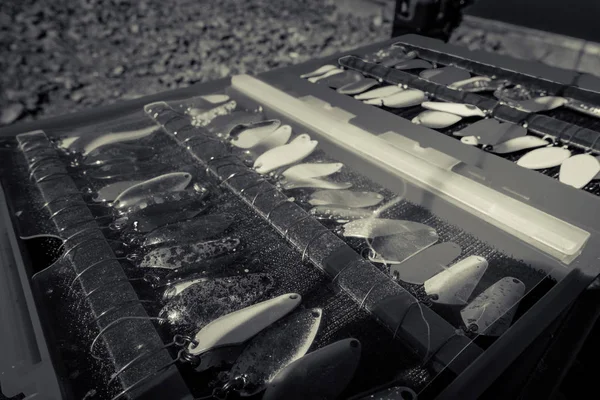 Fisherman catch rainbow trout from lake — Stock Photo, Image