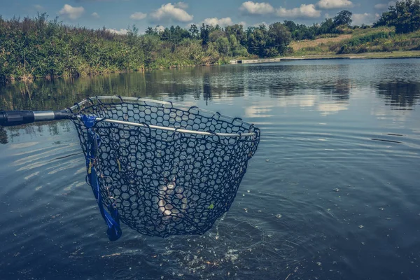 Pesca de lúcio no lago — Fotografia de Stock