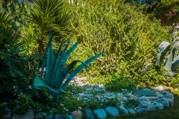 美しい海辺のリゾート。緑と花 — ストック写真