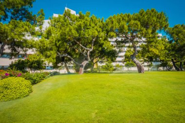 Güzel tatil beldesi. Yeşil ve çiçekler