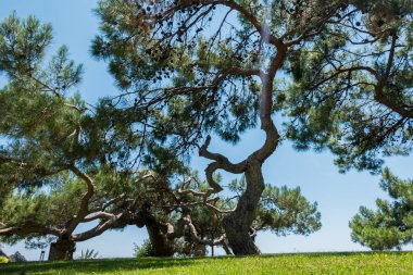 Güzel deniz resort. Yaz tatili