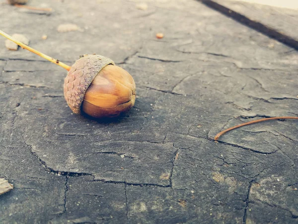 Bolota Amarela Perto — Fotografia de Stock