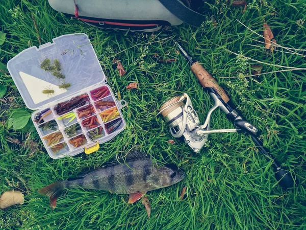 Concepto de pesca: pescado, caña de pescar, cebo — Foto de Stock