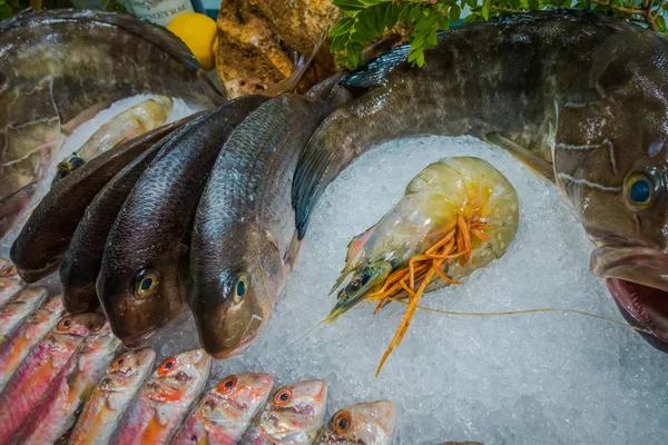 Fisch Und Meeresfrüchte Auf Eis — Stockfoto