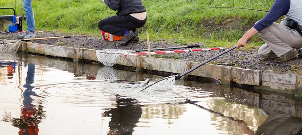 Forellenfischen Auf Dem Fluss — Stockfoto