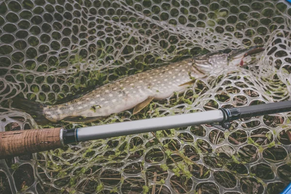 Pike rybaření na jezeře — Stock fotografie