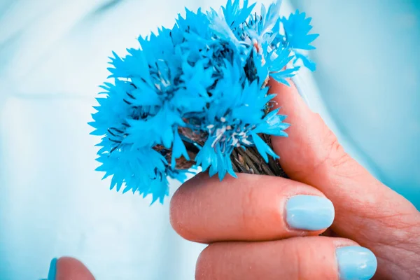 Een Boeket Van Korenbloemen — Stockfoto