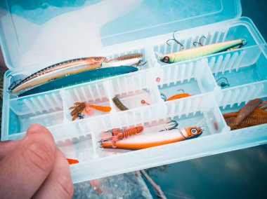 bir kutuiçinde balık için yem