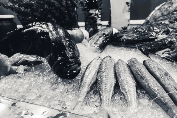 Fisch auf Eis in einem Fischrestaurant — Stockfoto