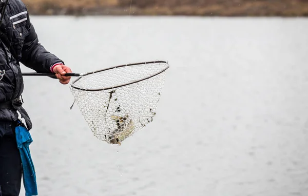 Рыбалка на озере. Рыболовный отдых — стоковое фото