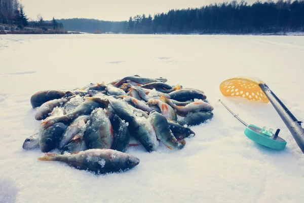 Pesca Inverno Partir Gelo — Fotografia de Stock