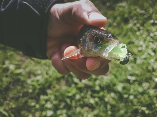 Рыбалка Реке — стоковое фото